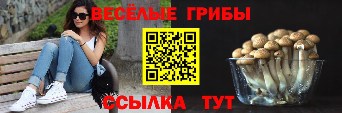 Галлюциногенные грибы GOLDEN TEACHER  Вход с VPN  Наро-Фоминск 